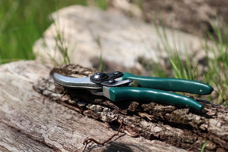 Pruning Shears Image